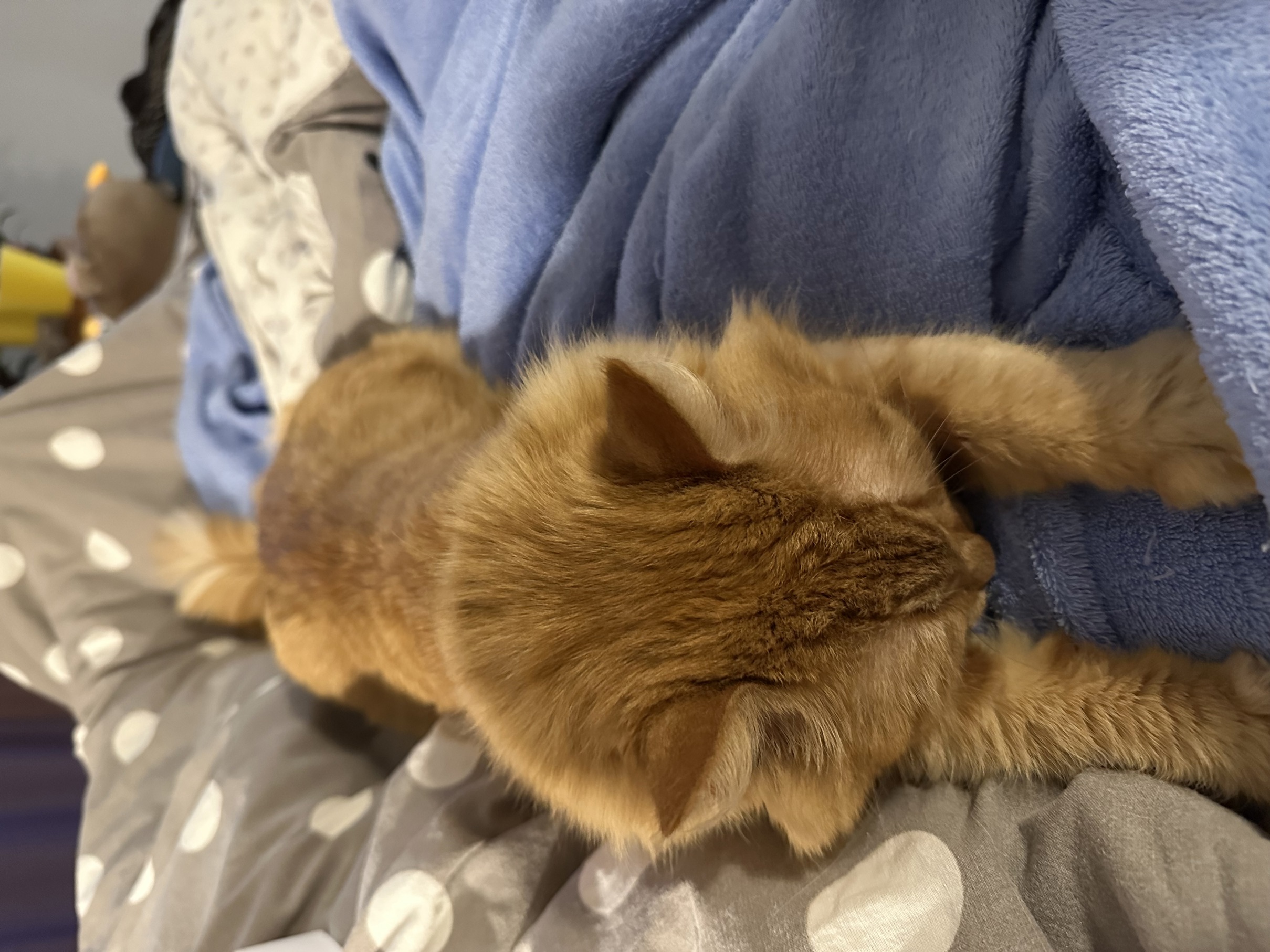 Image by Cat 05.09.2025