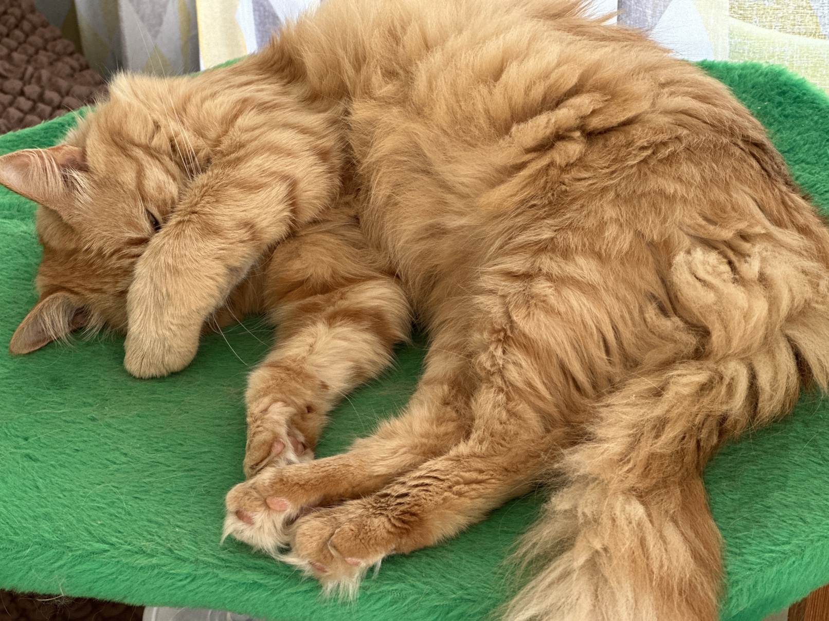 Image by Cat 02.09.2025