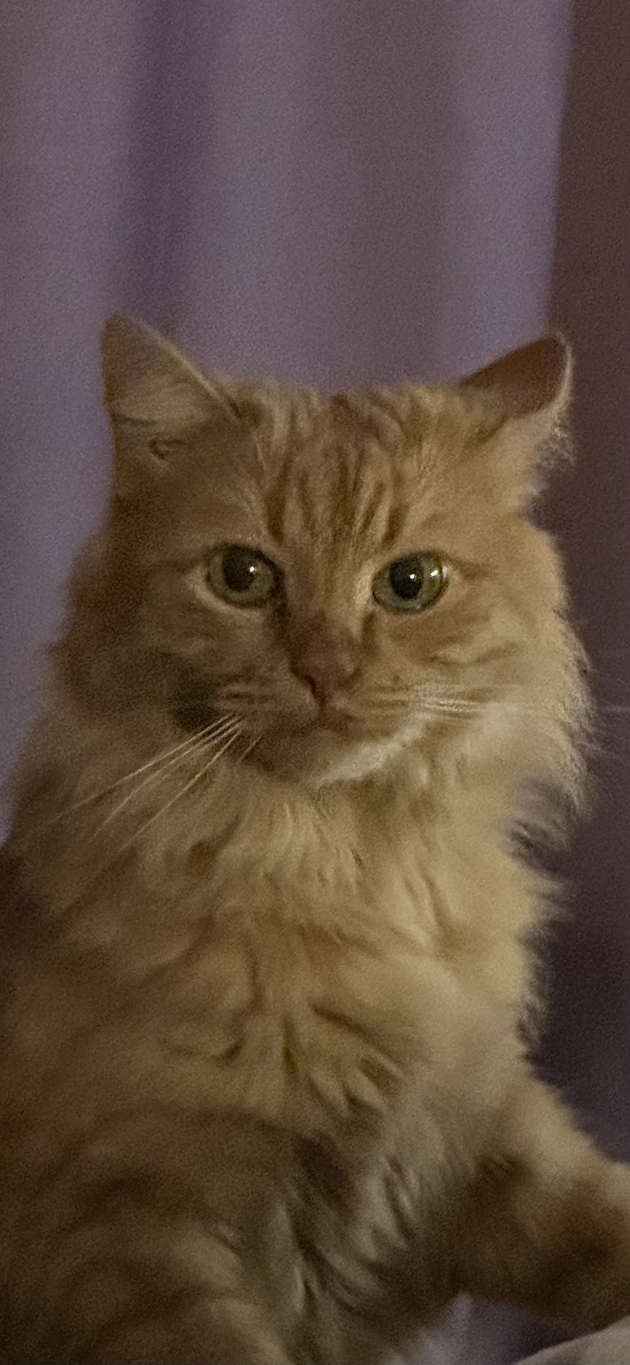 Image by Cat 10.12.2025